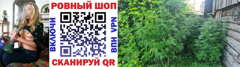 Магазины продажи наркотиков Нарткала Гашиш hydra зеркало APVP Меф КОКАИН Каннабис