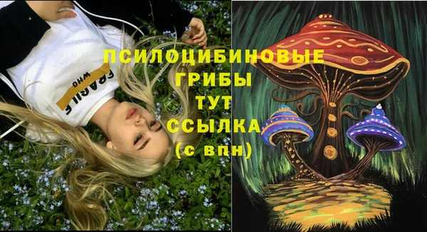 мяу мяу мука Баксан