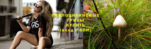 гидропоника Балабаново
