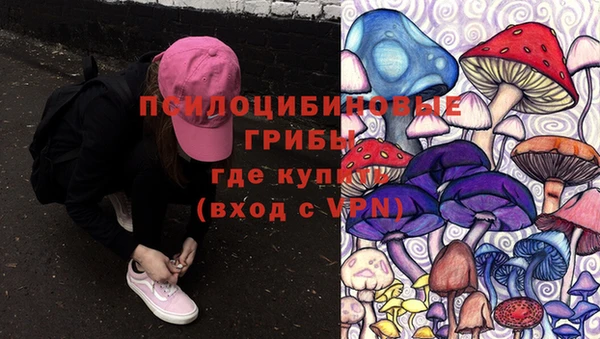 мяу мяу мука Баксан