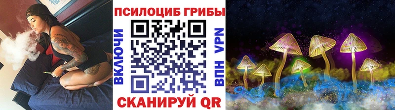 наркотики  OMG ссылка  Псилоцибиновые грибы мухоморы  Нарткала 